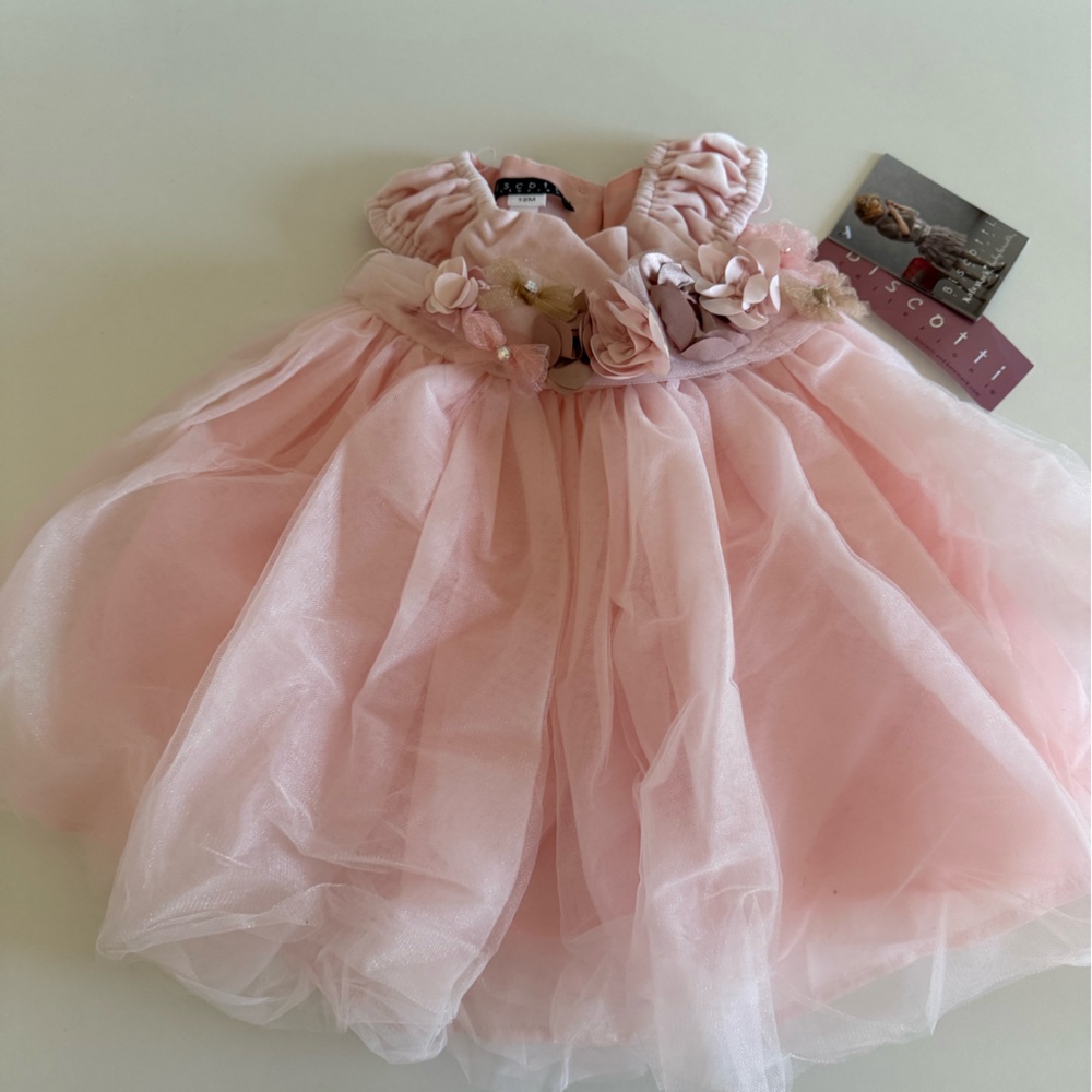 Toddler girls velvet and tulle dress 12m